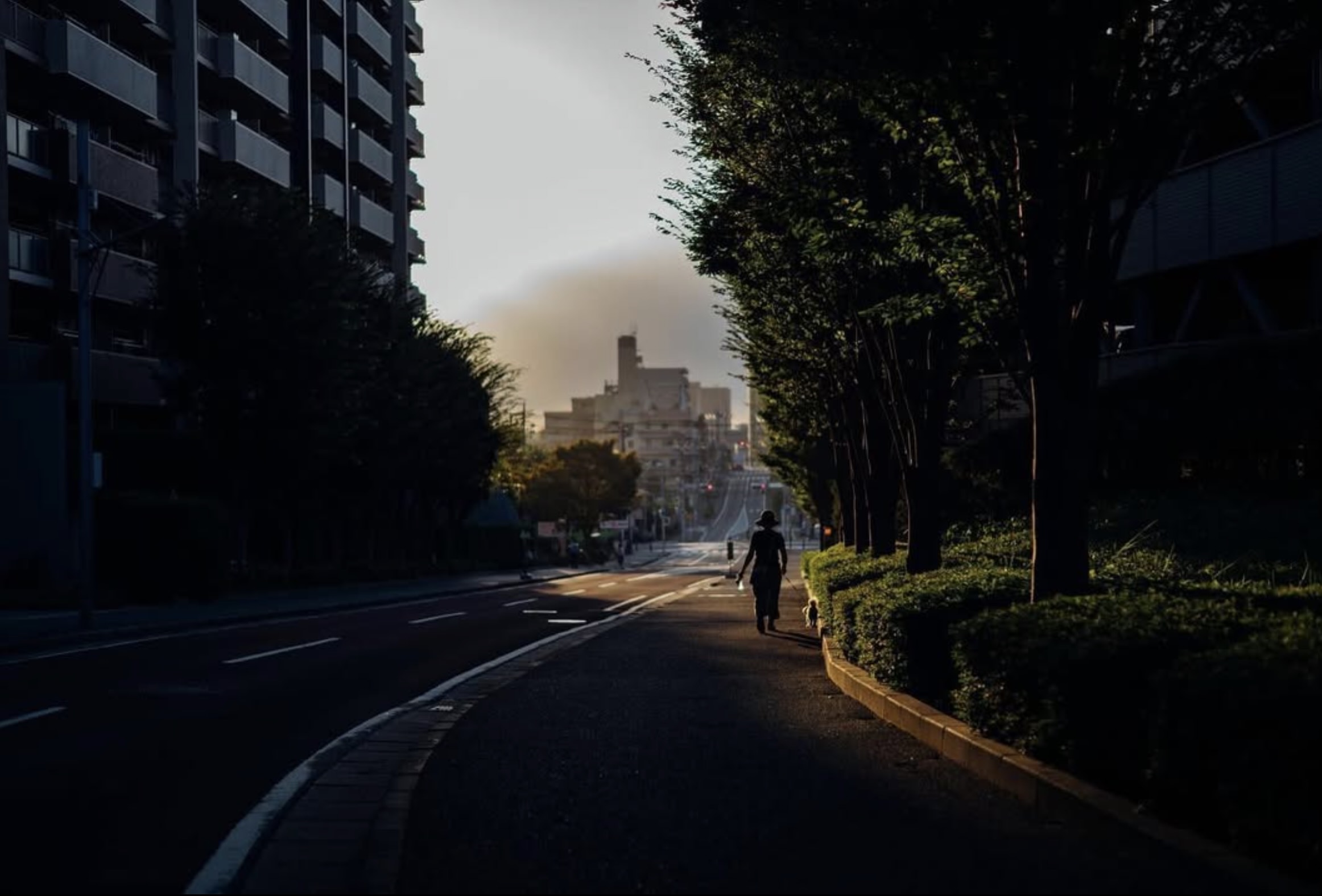 白樺芸術祭ABIKO 2025 | 公式サイト